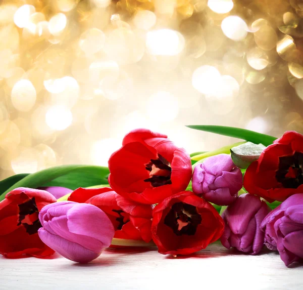 Червоні та фіолетові тюльпани — стокове фото