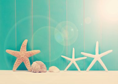 Deniz mavisi ahşap arka plan üzerinde kabukları