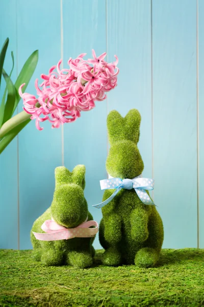 Easter bunnies with hyacinth — Stock Photo, Image