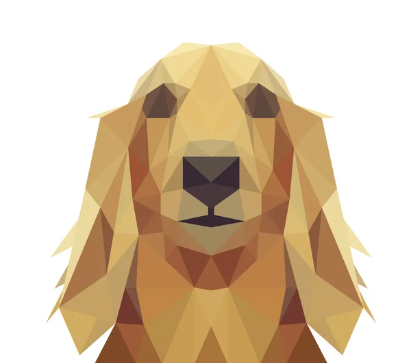 Laag Poly geometrische hond ontwerp — Stockvector