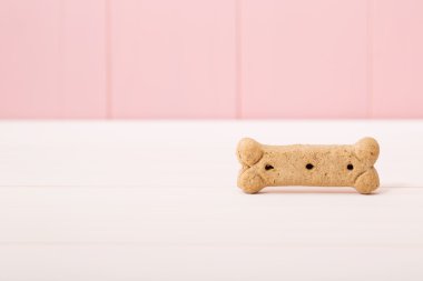 Şeklinde kemik köpek muamele etmek