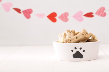 Köpek üzerinde beyaz bir kase davranır