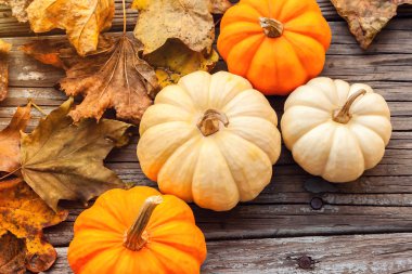 Güz pumpkins ahşap kurullarında yaprakları ile