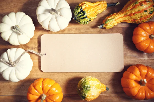 Citrouilles et courges d'automne avec carte de message — Photo