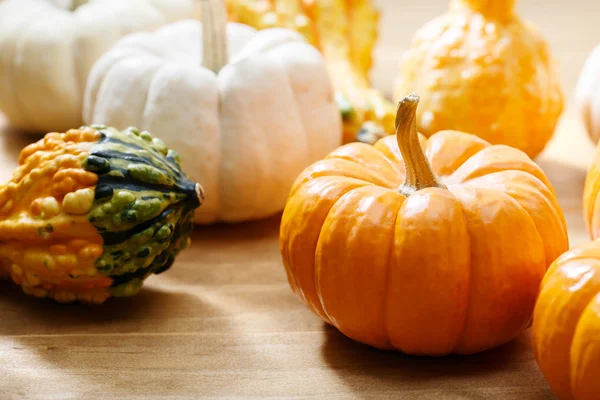 Calabazas y calabazas de otoño — Foto de Stock