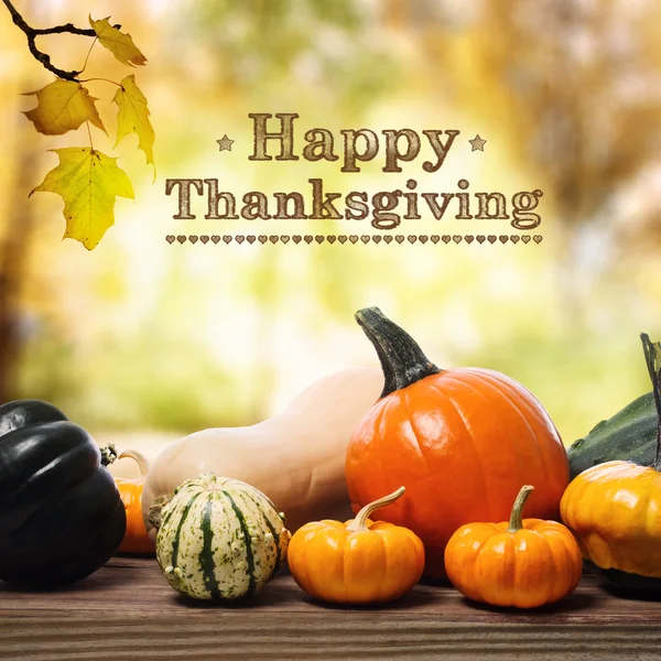 Message joyeux Thanksgiving avec citrouilles assorties — Photo