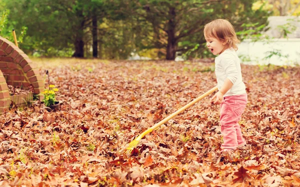 Ευχαρίστως toddler κορίτσι καταιέτιο φύλλα — Φωτογραφία Αρχείου