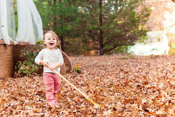 Joyeux bambin fille ratissage feuilles — Photo