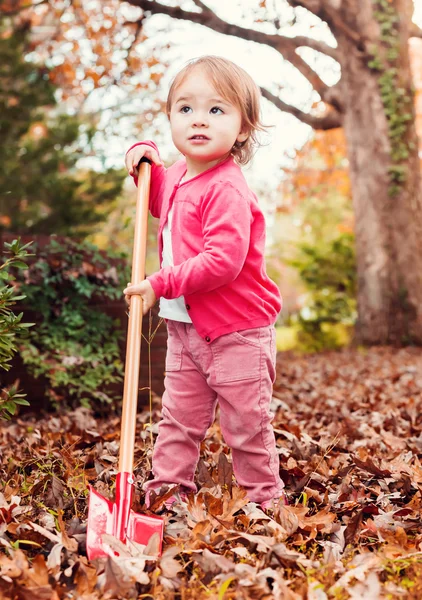 Ευχαρίστως toddler κορίτσι που παίζουν στα φύλλα το φθινόπωρο — Φωτογραφία Αρχείου