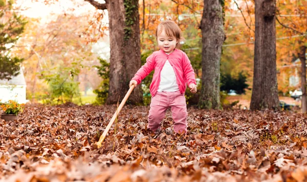 Feliz niña rastrillando hojas — Foto de Stock