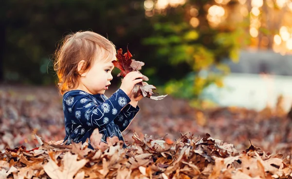 Barn girl spela i en hög med fall blad vid solnedgången — Stockfoto