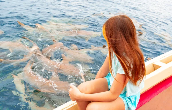 red-haired teen girl looks at feeding sharks from boat, reef sharks gathered underwater for feeding in Indian Ocean