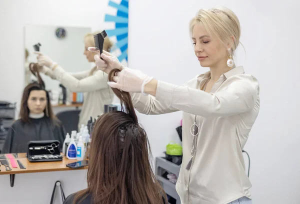 process of coloring the hair and painting over the gray hair of a young woman in a beauty salon