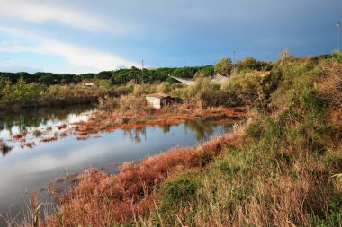 Ravenna, Emilia Romagna, Italy: landscape of the wetland with fishing huts in the nature reserve Po Delta Park