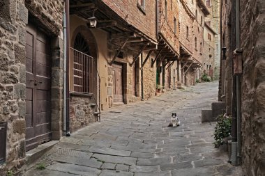 Cortona, Arezzo, Toskana, İtalya: antik evleriyle ortaçağ İannelli Geçidi, Toskana 'nın tarihi merkezinde.