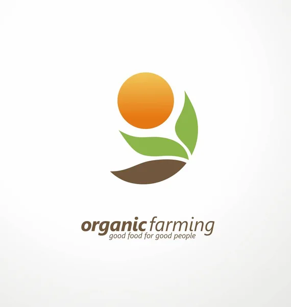 有机耕作标志设计与田间植物和太阳图标 病媒粮食农业符号 — 图库矢量图片