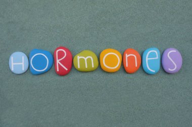 Hormonlar, vücudun kimyasal habercileri, yeşil kumların üzerinde çok renkli taş harfler.