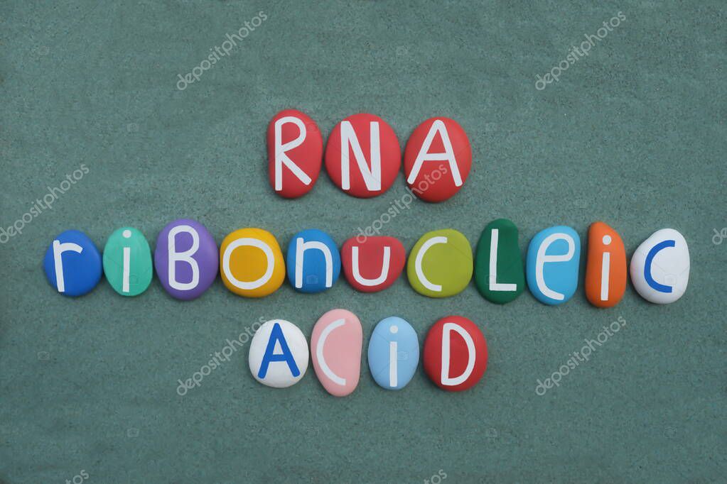 RNA, Ribonucleic acid, a polymeric molecule essential in various biological roles in coding, decoding, regulation and expression of genes. Unique logo composed with handmade multi colored stone letters over green sand