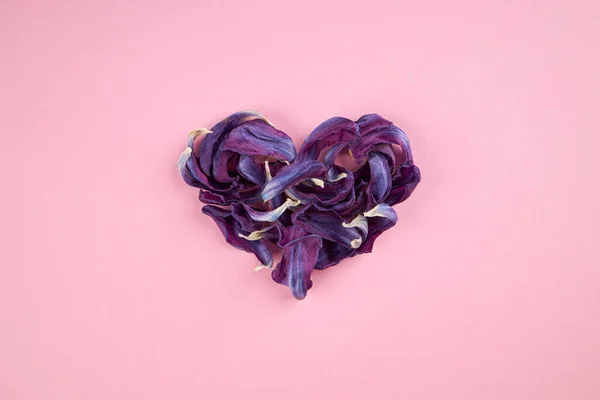Koncept lásky a romantiky. jednoduché. Fialové okvětní lístky ve tvaru srdce na růžovém pozadí. vnější prostor — Stock fotografie