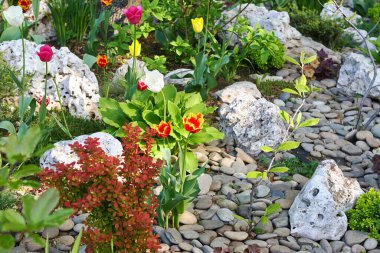 Dekor olarak güzel çiçekler ve kayalar olan bahçe dekorasyonu. Tasarım için bahçe tasarımı kavramı