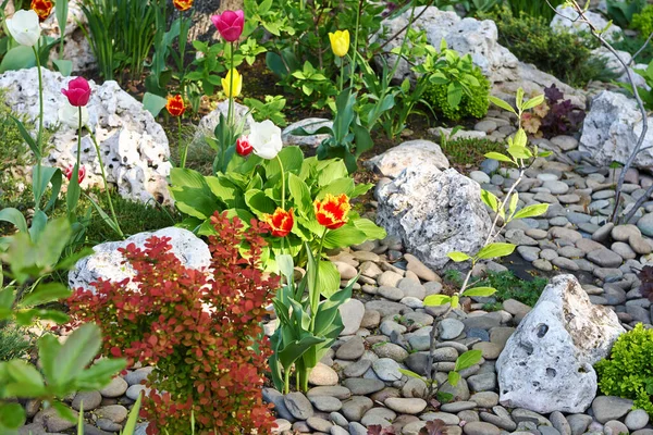Landschaftsgartendekoration mit schönen Blumen und Steinen als Dekoration. Gartenkonzept für die Gestaltung Stockbild