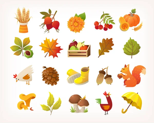收集可爱的秋天季节图像关于收获和自然 花卉和动物的象征 一组孤立的向量元素 — 图库矢量图片