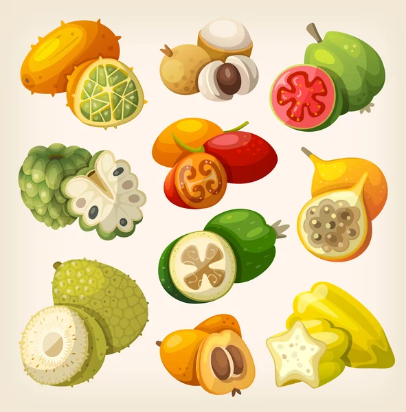 Exotische tropische Früchte. — Stockvektor