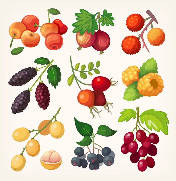 Juicy colorful berry icons. — Stock Vector