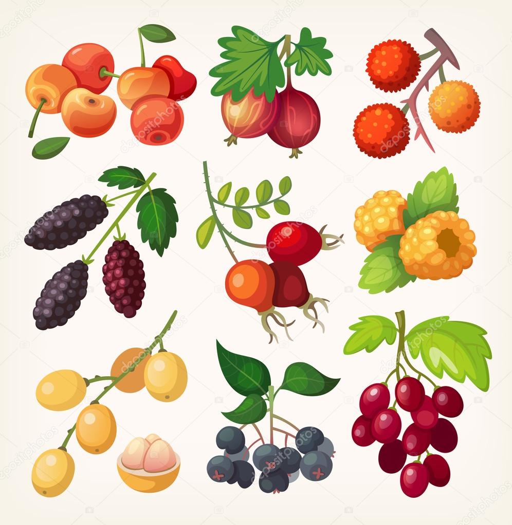 Juicy colorful berry icons.