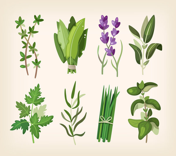 Seasoning and dressing herbs