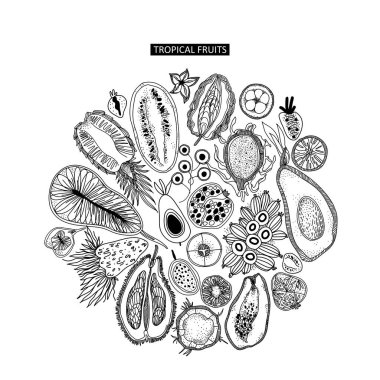 Tropisian meyvesi, karalama tarzında kusursuz bir desen oluşturur. Siyah beyaz egzotik meyveler. Beyaz arkaplanda elle çizilmiş vektör çizimi