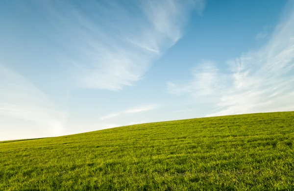 Зелене поле і блакитне хмарне небо — стокове фото