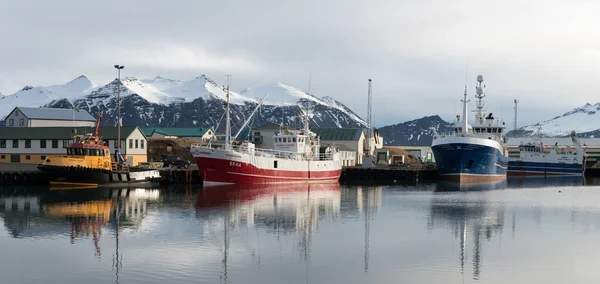 Hofn Fischereihafen, Island — Stockfoto