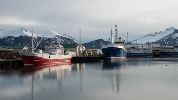 Vissershaven van Hofn, IJsland — Stockfoto