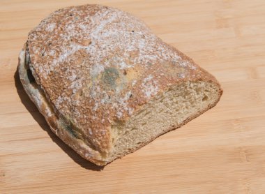 Piece of Moldy unhealthy  Bread clipart