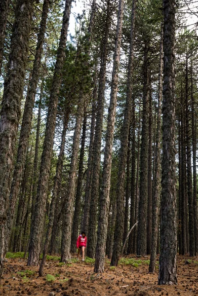 Adolescente caminando en el bosque —  Fotos de Stock