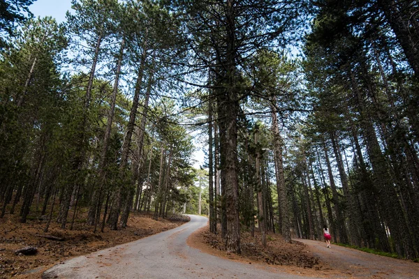 Joven adolescente caminando en un camino forestal —  Fotos de Stock