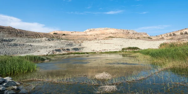 Petit lac naturel avec eau et plantes — Photo