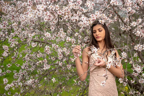 Çekici Genç Güzel Bir Bayan Pembe Giysiler Içinde Erik Çiçeklerinin — Stok fotoğraf