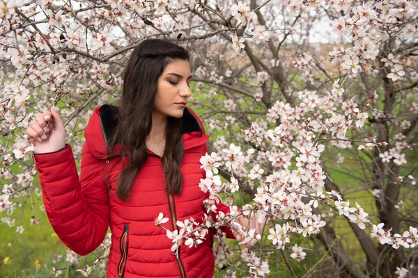 Atraktivní Mladá Krásná Dáma Oblečená Červeném Oblečení Těší Švestkové Květy — Stock fotografie