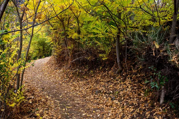 Otoño paisaje senderismo sendero en temporada de otoño —  Fotos de Stock