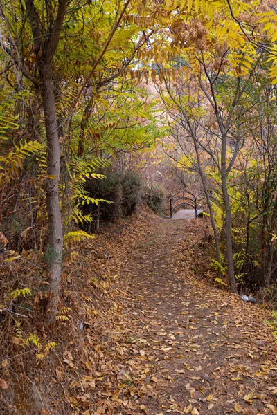 Autumn landscape hiking walking path in fall season — Stock Photo, Image