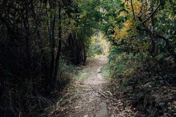 Paisagem de outono caminhadas caminho a pé na temporada de outono — Fotografia de Stock