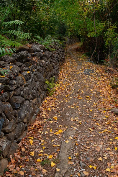 Otoño paisaje senderismo sendero en temporada de otoño — Foto de Stock