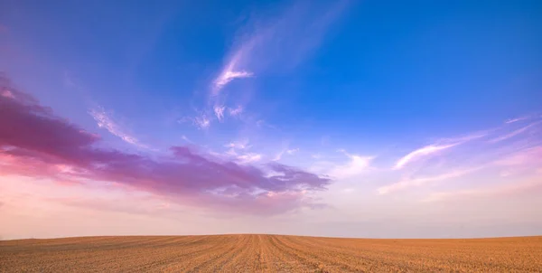 Landwirtschaftliches Wiesenfeld und bewölkter Himmel bei Sonnenuntergang. — Stockfoto