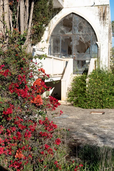 Exterior of an abandoned and damaged house and blooming flower plant. — Stock Photo, Image