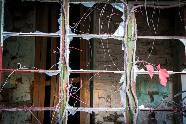 Ventana metálica cerrada con cristales rotos. —  Fotos de Stock