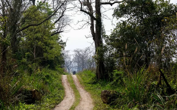 Puste safari wiejskiej drogi Chitwan Park Narodowy dżungli w Nepalu — Zdjęcie stockowe