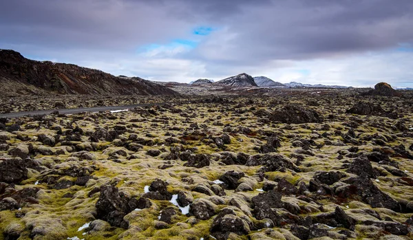 IJslands landschap bedekt met mos en vulkanische rotsen. IJsland — Stockfoto