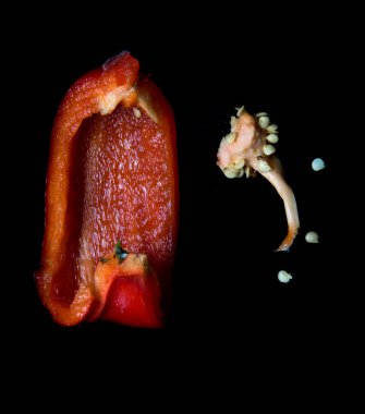 Siyah arkaplanda kırmızı küflü biber